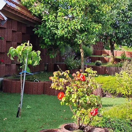 Sonnenhof Haus 2 - Eg Lägenhet Thale