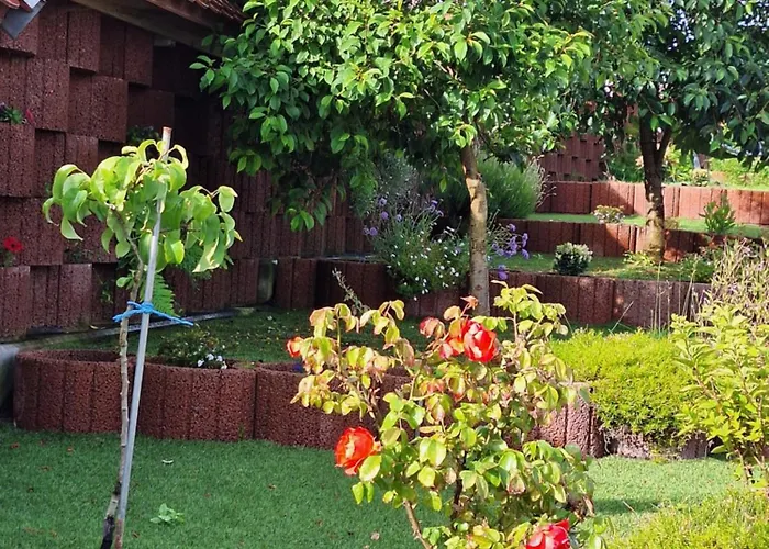 Sonnenhof Haus 2 - Eg Διαμέρισμα Thale